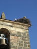Stork nest in Navaleno