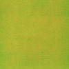 Green Canvas
