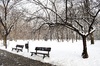 Kiseleff Park