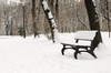 Snowy bench
