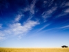 Stunning & Beautiful Sky