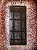 Tile wall and window