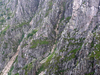 Rocks