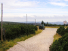 Border path