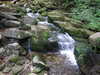 Mountain stream