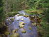 Mountain stream