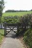 Wicket gate