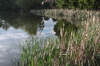 Lake 1