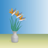 Birds of Paradise 3