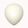 Shell 2
