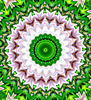 green garden mandala3
