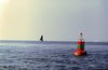 Waddenzee