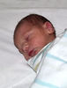 wrapped arrival4b