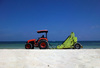 Cleaning the seashore