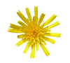 A flower