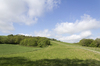 Spring landscape