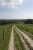 Down the hill