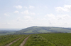 Landscape with footpath