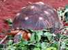 slow snack time2