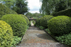 Garden path with topiary