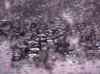 Raindrops on my window
