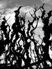 Twisted background