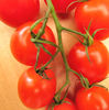 baby romas4