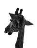 giraffe  5