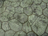 texture 7