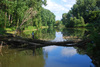 old bayou