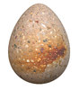 Concrete Egg 2