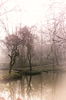 Misty Mornings