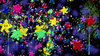 colors