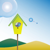Birdy  boy green house