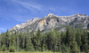Forest mountains
