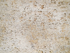 pastel stucco wall texture