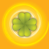 Clover on orange 1