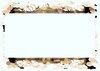 Banner With Grungy Border 2