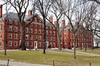 Harvard University
