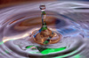 The drop
