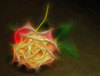 3D Fractal Rose