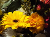 Sunshine yellow gerbers