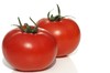 ripe tomatoes