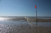 Fisher net