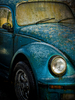 Beetle