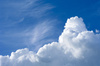 Spring clouds