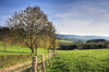 The Ardennes