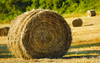Bale of hay