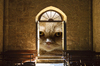 Cat looking