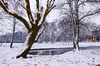 Winter scene